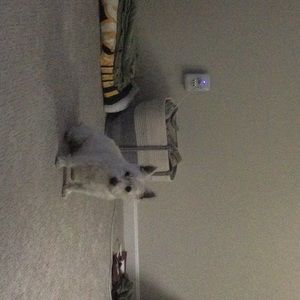 Meet your Posher, Keith